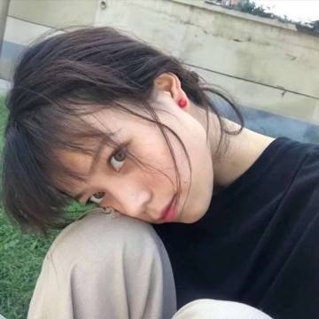 铃铛海洋历险记